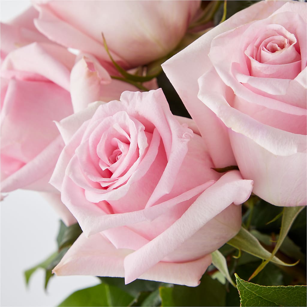 Picture Perfect Pink Rose Bouquet –  Blossom Shop, Traverse City MI