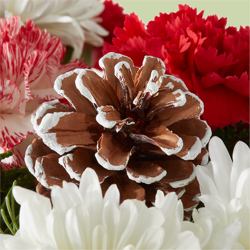 Candy Cane Lane Bouquet –  Blossom Shop, Traverse City MI
