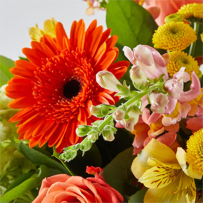 Autumn Sunshine Bouquet –  Blossom Shop, Traverse City MI