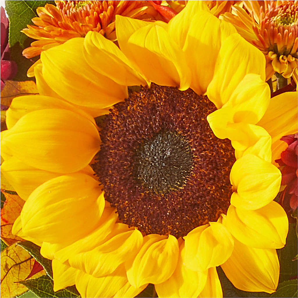 Sunny Side Bouquet –  Blossom Shop, Traverse City MI