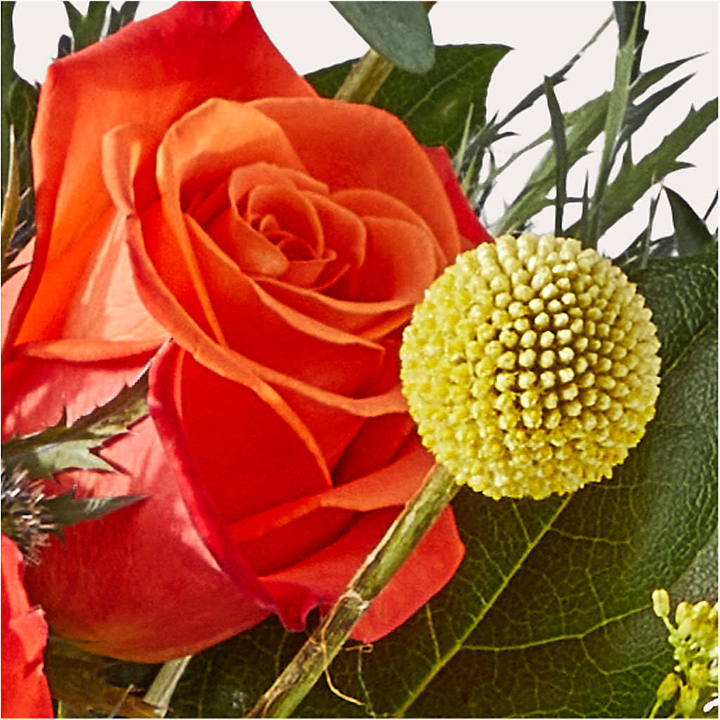 Disco Bouquet –  Blossom Shop, Traverse City MI