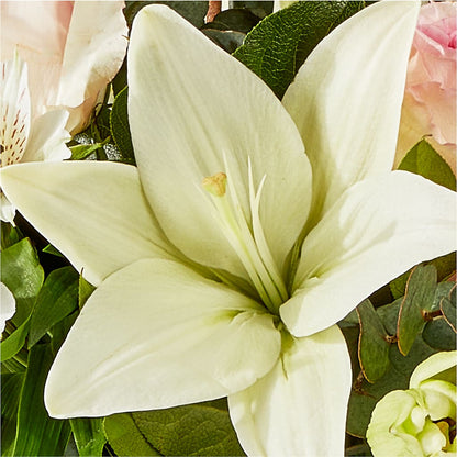 Ballet Slippers Bouquet –  Blossom Shop, Traverse City MI