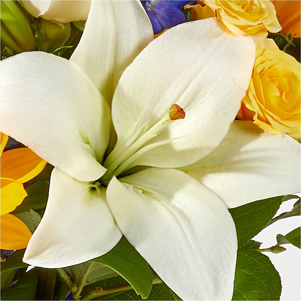 Wonderfully Sunny Bouquet –  Blossom Shop, Traverse City MI
