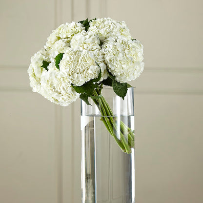 White Hydrangea Hand-Tied Bouquet –  Blossom Shop, Traverse City MI