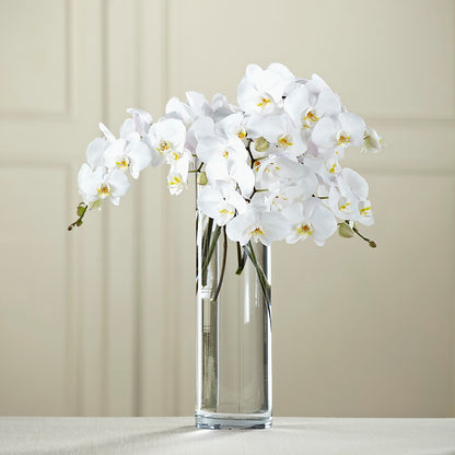 White Phalaenopsis Bouquet –  Blossom Shop, Traverse City MI