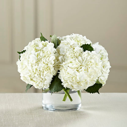 White Hydrangea Bouquet –  Blossom Shop, Traverse City MI